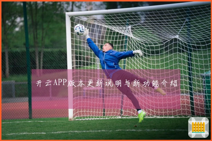 开云APP版本更新说明与新功能介绍